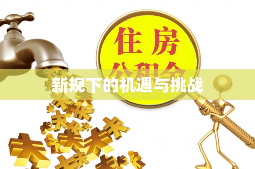 巍山新规下的机遇与挑战