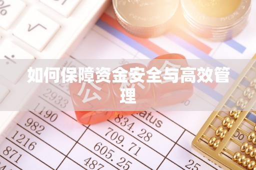 巍山如何保障资金安全与高效管理
