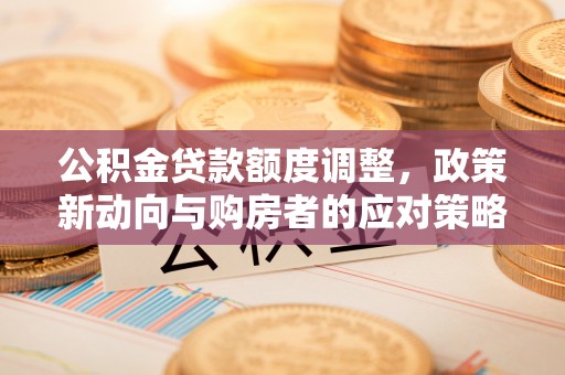 巍山公积金贷款额度调整，政策新动向与购房者的应对策略