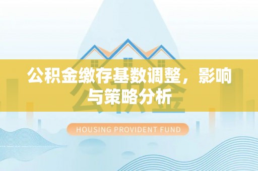 巍山公积金缴存基数调整，影响与策略分析