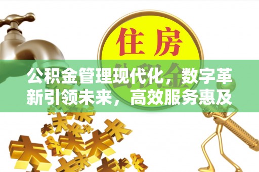 巍山公积金管理现代化，数字革新引领未来，高效服务惠及民生