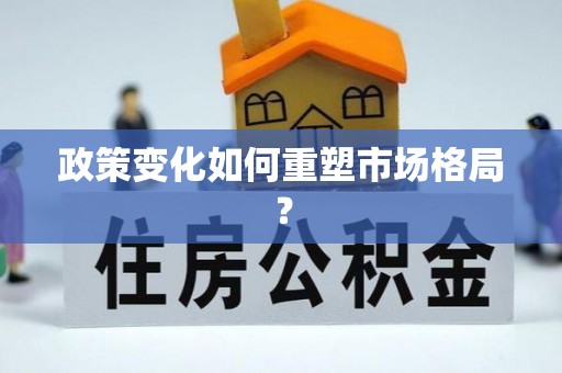 巍山政策变化如何重塑市场格局？