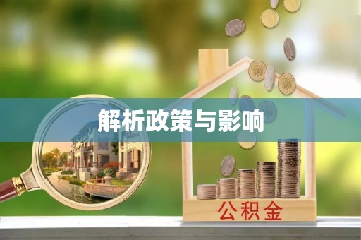 巍山解析政策与影响