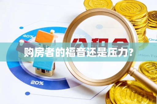 巍山购房者的福音还是压力？
