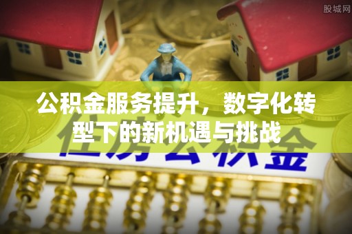 巍山公积金服务提升，数字化转型下的新机遇与挑战