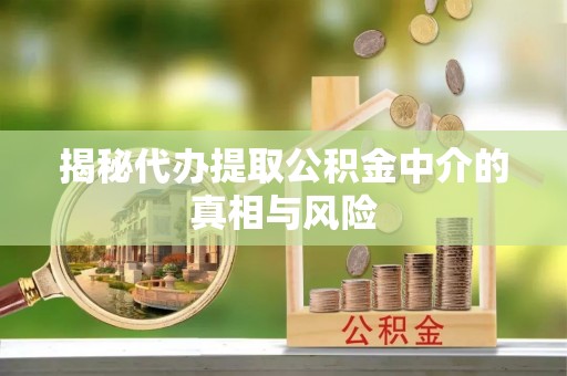 巍山揭秘代办提取公积金中介的真相与风险