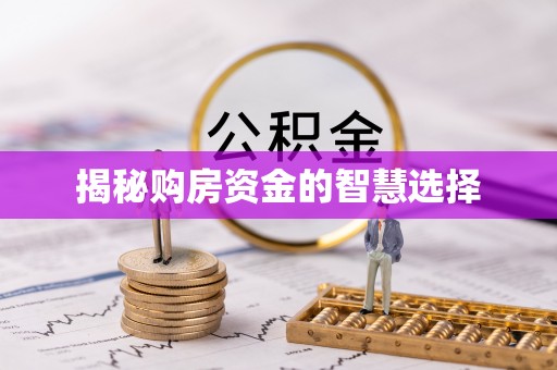 巍山揭秘购房资金的智慧选择