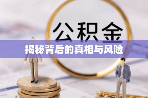 巍山揭秘背后的真相与风险