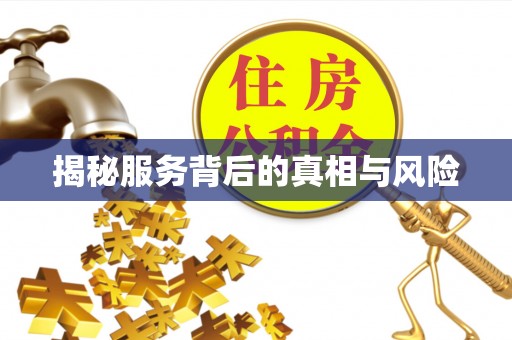 巍山揭秘服务背后的真相与风险