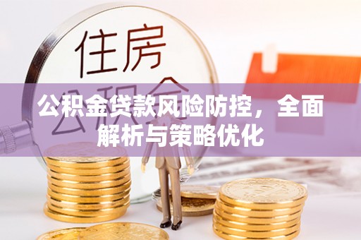 巍山公积金贷款风险防控，全面解析与策略优化