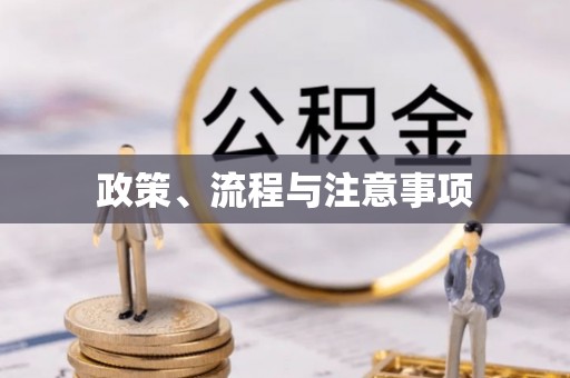 巍山政策、流程与注意事项