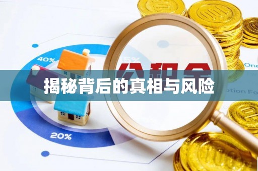 巍山揭秘背后的真相与风险