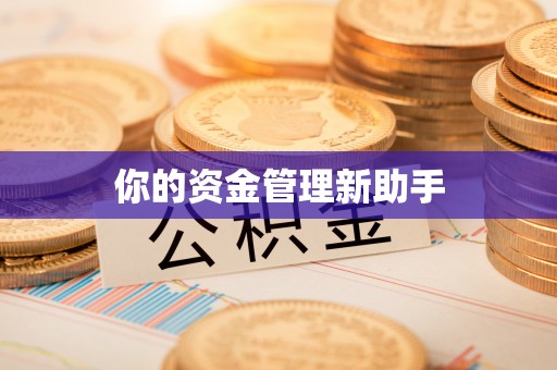 巍山你的资金管理新助手