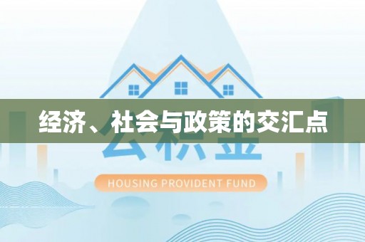 巍山经济、社会与政策的交汇点