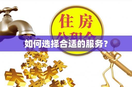巍山如何选择合适的服务？