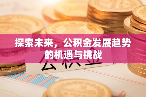 巍山探索未来，公积金发展趋势的机遇与挑战