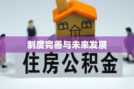巍山制度完善与未来发展