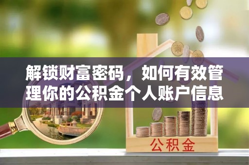 巍山解锁财富密码，如何有效管理你的公积金个人账户信息