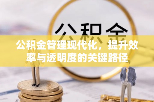 巍山公积金管理现代化，提升效率与透明度的关键路径