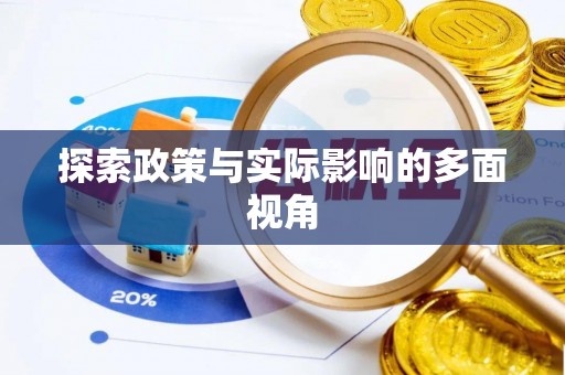 巍山探索政策与实际影响的多面视角