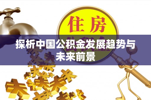巍山探析中国公积金发展趋势与未来前景