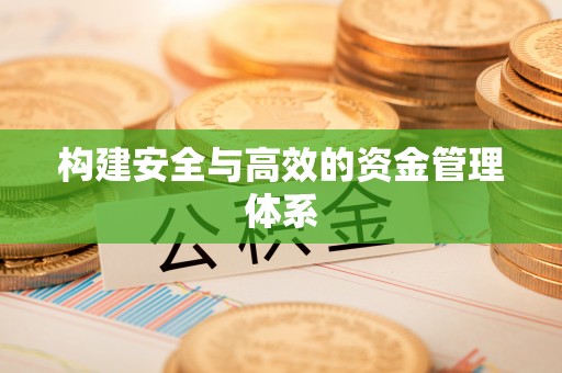 巍山构建安全与高效的资金管理体系