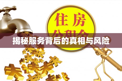 巍山揭秘服务背后的真相与风险