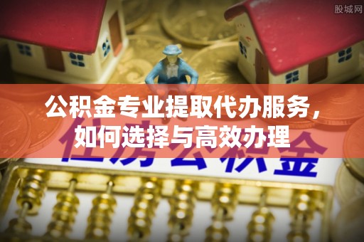 巍山公积金专业提取代办服务，如何选择与高效办理
