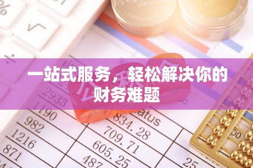 巍山一站式服务，轻松解决你的财务难题