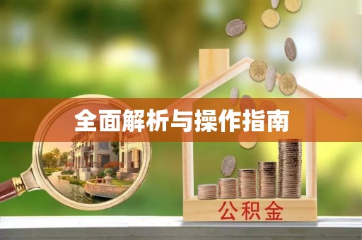 巍山全面解析与操作指南