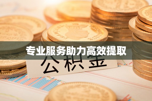巍山专业服务助力高效提取