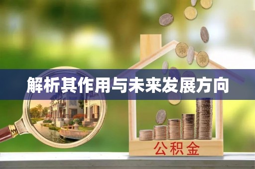 巍山解析其作用与未来发展方向