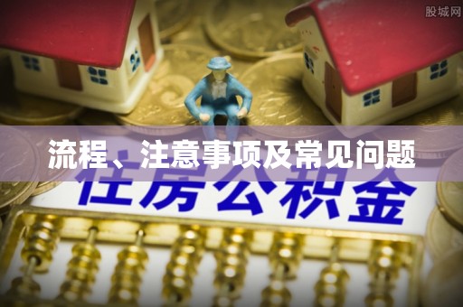 巍山流程、注意事项及常见问题
