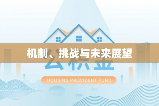 巍山机制、挑战与未来展望