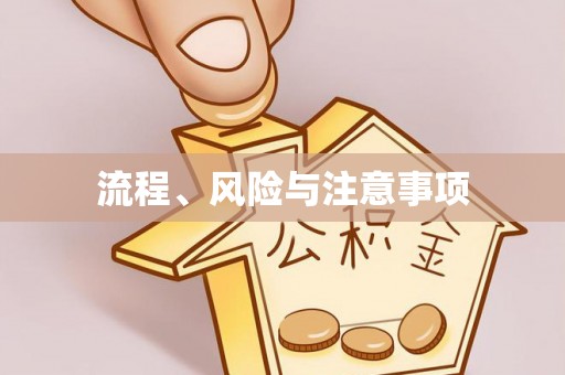 巍山流程、风险与注意事项