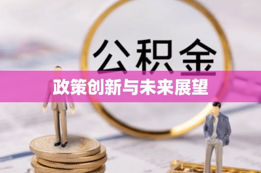 巍山政策创新与未来展望